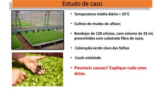 Estudo de caso
• Temperatura média diária = 35°C
• Cultivo de mudas de alface;
• Bandejas de 128 células, com volume de 33 ml,
preenchidos com substrato fibra de coco;
• Coloração verde clara das folhas
• Caule estiolado
• Possíveis causas? Explique cada uma
delas.
 