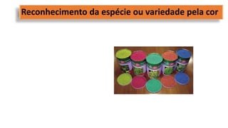 Reconhecimento da espécie ou variedade pela cor
 