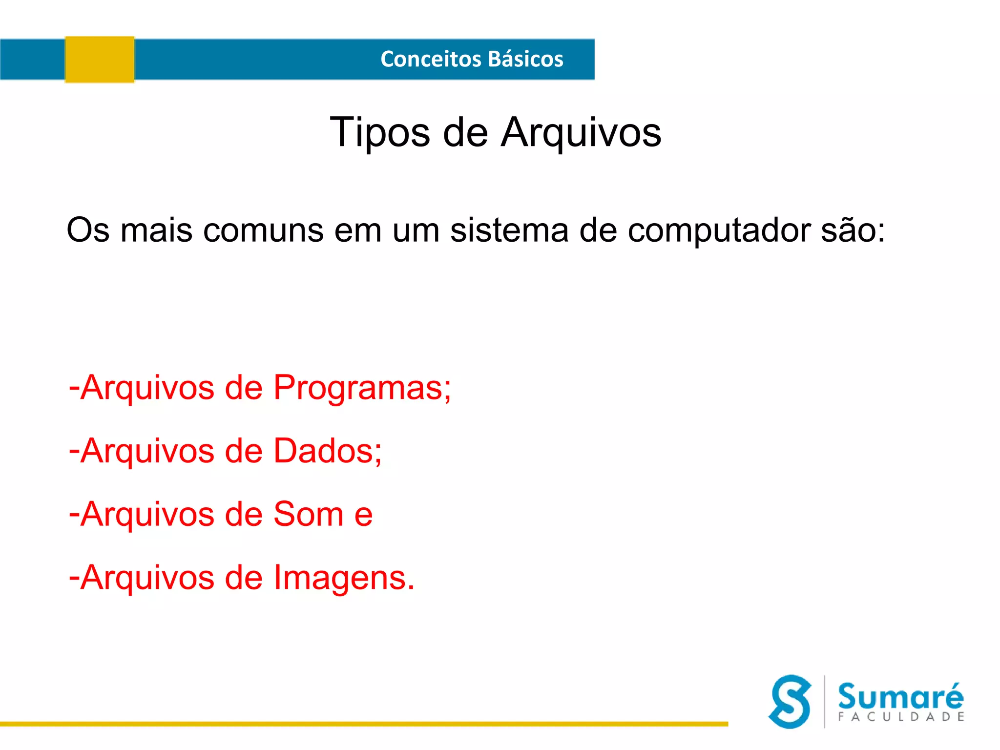 Conceitos Básicos

Tipos de Arquivos
Os mais comuns em um sistema de computador são:

-Arquivos de Programas;
-Arquivos de Dados;
-Arquivos de Som e
-Arquivos de Imagens.

 