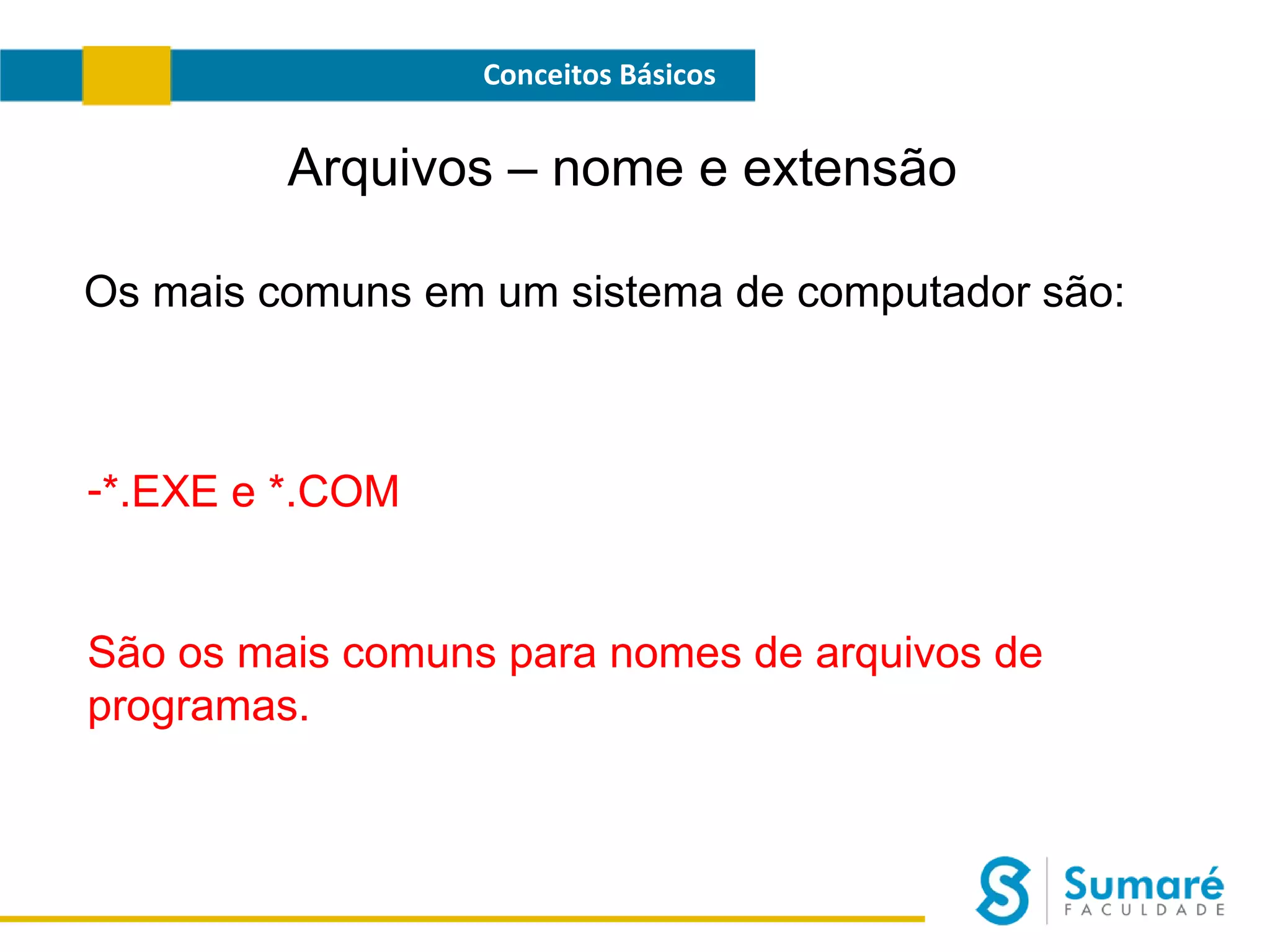 Conceitos Básicos

Arquivos – nome e extensão
Os mais comuns em um sistema de computador são:

-*.EXE e *.COM

São os mais comuns para nomes de arquivos de
programas.

 