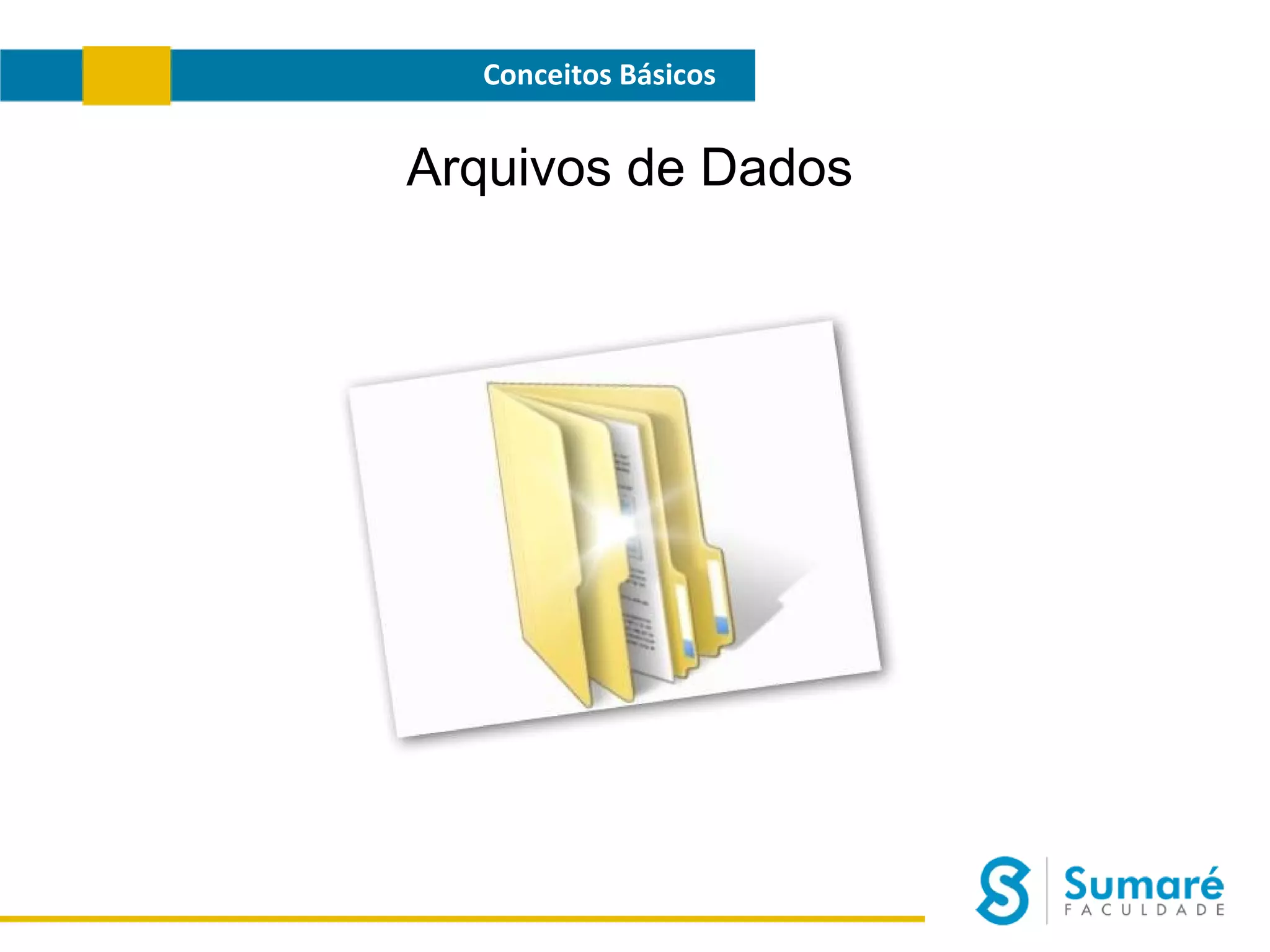 Conceitos Básicos

Arquivos de Dados

 