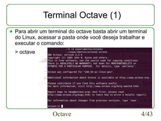 Introdução ao Octave | PDF