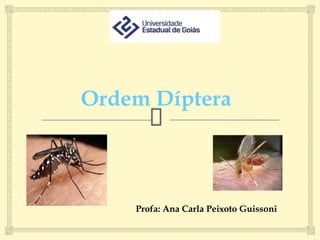 Ordem Díptera
Profa: Ana Carla Peixoto Guissoni
 