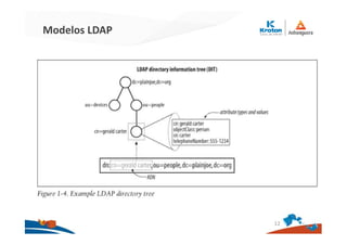 Modelos LDAP
12
 