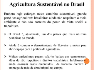 Agricultura Sustentável no Brasil
Embora haja esforços neste caminho sustentável, grande
parte dos agricultores brasileiros ainda não respeitam o meio
ambiente e não são corretos do ponto de vista social e
trabalhista.
 O Brasil é, atualmente, um dos países que mais utilizam
pesticidas no mundo.
 Ainda é comum o desmatamento de florestas e matas para
abrir espaço para a prática da agricultura.
 Muitos agricultores pagam salários baixos aos camponeses,
além de não respeitarem direitos trabalhistas. Infelizmente,
ainda ocorrem casos escondidos de trabalho escravo e
emprego de mão de obra infantil no campo.
 