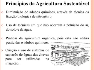 o Diminuição de adubos químicos, através da técnica da
fixação biológica de nitrogênio.
o Uso de técnicas em que não ocorram a poluição do ar,
do solo e da água.
o Práticas da agricultura orgânica, pois esta não utiliza
pesticidas e adubos químicos.
o Criação e uso de sistemas de
captação de águas das chuvas
para ser utilizadas na
irrigação.
Princípios da Agricultura Sustentável
 