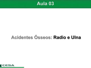 Acidentes Ósseos: Radio e Ulna
 
