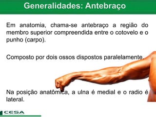 Em anatomia, chama-se antebraço a região do
membro superior compreendida entre o cotovelo e o
punho (carpo).
Composto por dois ossos dispostos paralelamente.
Na posição anatômica, a ulna é medial e o radio é
lateral.
 