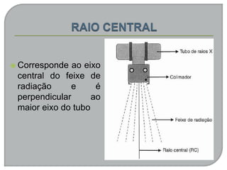  Corresponde ao eixo
central do feixe de
radiação e é
perpendicular ao
maior eixo do tubo
 