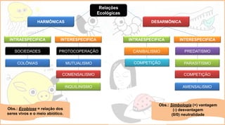 Aula 03 - Relações Ecológicas.pdf 2º ano do ensino médio | PDF