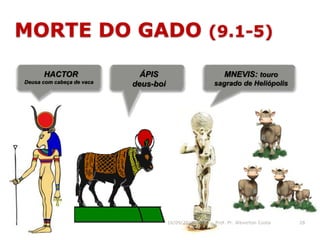 MORTE DO GADO (9.1-5)
HACTOR
Deusa com cabeça de vaca
ÁPIS
deus-boi
MNEVIS: touro
sagrado de Heliópolis
16/09/2018 06:26 Prof. Pr. Weverton Costa 28
 