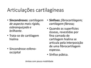 Articulações cartilagíneas
• Sincondroses: cartilagem
de aspecto mais rígido,
esbranquiçado e
brilhante.
• Trata-se de cartilagem
hialina
• Sincondrose esfeno-
occipital
• Sínfises: fibrocartilagem;
cartilagem fibrosa;
• Quando as superfícies
ósseas, revestidas por
fina camada de
cartilagem hialina se
articula pela interposição
de uma fibrocartilagem
espessa.
• Sínfise púbica.
Ambas com pouca mobilidade
 
