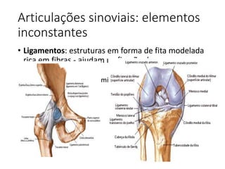 Articulações sinoviais: elementos
inconstantes
• Ligamentos: estruturas em forma de fita modelada
rica em fibras - ajudam na fixação dos ossos
articulados.
• Agem limitando determinados movimentos das
articulações
 