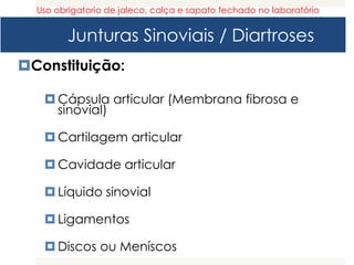 Junturas Sinoviais / Diartroses
Constituição:
 Cápsula articular (Membrana fibrosa e
sinovial)
 Cartilagem articular
 Cavidade articular
 Líquido sinovial
 Ligamentos
 Discos ou Meníscos
Uso obrigatorio de jaleco, calça e sapato fechado no laboratório
 