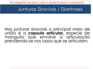 Junturas Sinoviais / Diartroses
Nas junturas sinoviais o principal meio de
união é a capsula articular, especie de
manguito que envolve a articulação
prendendo-se nos ossos que se articulam.
Uso obrigatorio de jaleco, calça e sapato fechado no laboratório
 