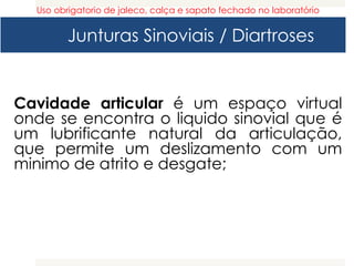 Junturas Sinoviais / Diartroses
Cavidade articular é um espaço virtual
onde se encontra o liquido sinovial que é
um lubrificante natural da articulação,
que permite um deslizamento com um
minimo de atrito e desgate;
Uso obrigatorio de jaleco, calça e sapato fechado no laboratório
 