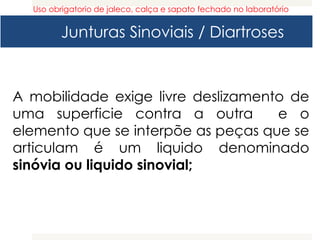 Junturas Sinoviais / Diartroses
A mobilidade exige livre deslizamento de
uma superficie contra a outra e o
elemento que se interpõe as peças que se
articulam é um liquido denominado
sinóvia ou liquido sinovial;
Uso obrigatorio de jaleco, calça e sapato fechado no laboratório
 