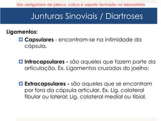 Junturas Sinoviais / Diartroses
Ligamentos:
 Capsulares - encontram-se na intimidade da
cápsula.
 Intracapsulares - são aqueles que fazem parte da
articulação. Ex. Ligamentos cruzados do joelho;
 Extracapsulares - são aqueles que se encontram
por fora da cápsula articular. Ex. Lig. colateral
fibular ou lateral; Lig. colateral medial ou tibial.
Uso obrigatorio de jaleco, calça e sapato fechado no laboratório
 