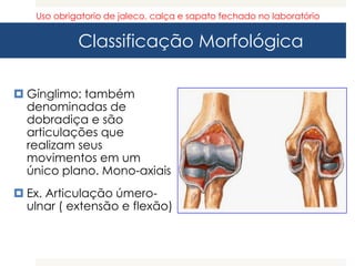 Classificação Morfológica
 Gínglimo: também
denominadas de
dobradiça e são
articulações que
realizam seus
movimentos em um
único plano. Mono-axiais
 Ex. Articulação úmero-
ulnar ( extensão e flexão)
Uso obrigatorio de jaleco, calça e sapato fechado no laboratório
 