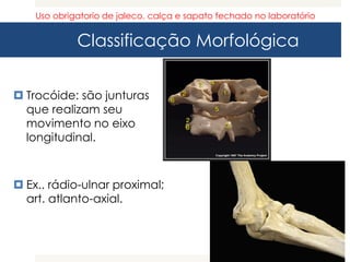 Classificação Morfológica
 Trocóide: são junturas
que realizam seu
movimento no eixo
longitudinal.
 Ex.. rádio-ulnar proximal;
art. atlanto-axial.
Uso obrigatorio de jaleco, calça e sapato fechado no laboratório
 