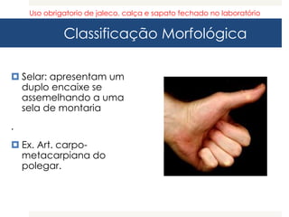 Classificação Morfológica
 Selar: apresentam um
duplo encaixe se
assemelhando a uma
sela de montaria
.
 Ex. Art. carpo-
metacarpiana do
polegar.
Uso obrigatorio de jaleco, calça e sapato fechado no laboratório
 