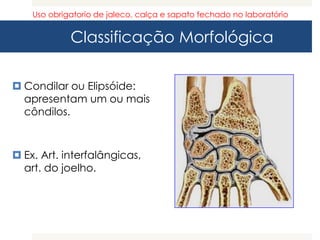 Classificação Morfológica
 Condilar ou Elipsóide:
apresentam um ou mais
côndilos.
 Ex. Art. interfalângicas,
art. do joelho.
Uso obrigatorio de jaleco, calça e sapato fechado no laboratório
 