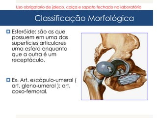 Classificação Morfológica
 Esferóide: são as que
possuem em uma das
superfícies articulares
uma esfera enquanto
que a outra é um
receptáculo.
 Ex. Art. escápulo-umeral (
art. gleno-umeral ); art.
coxo-femoral.
Uso obrigatorio de jaleco, calça e sapato fechado no laboratório
 