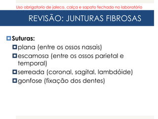REVISÃO: JUNTURAS FIBROSAS
Suturas:
plana (entre os ossos nasais)
escamosa (entre os ossos parietal e
temporal)
serreada (coronal, sagital, lambdóide)
gonfose (fixação dos dentes)
Uso obrigatorio de jaleco, calça e sapato fechado no laboratório
 