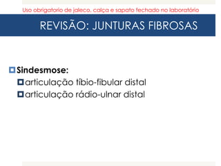 REVISÃO: JUNTURAS FIBROSAS
Sindesmose:
articulação tíbio-fibular distal
articulação rádio-ulnar distal
Uso obrigatorio de jaleco, calça e sapato fechado no laboratório
 