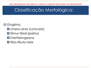 Classificação Morfológica:
 Gínglimo:
 úmero-ulnar (cotovelo)
 fêmur-tibial (joelho)
 interfalangeana
 tíbio-fíbulo-talar
Uso obrigatorio de jaleco, calça e sapato fechado no laboratório
 