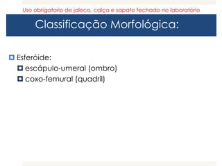 Classificação Morfológica:
 Esferóide:
 escápulo-umeral (ombro)
 coxo-femural (quadril)
Uso obrigatorio de jaleco, calça e sapato fechado no laboratório
 