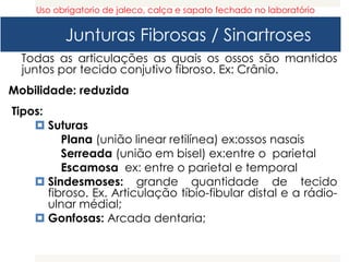 Junturas Fibrosas / Sinartroses
Todas as articulações as quais os ossos são mantidos
juntos por tecido conjutivo fibroso. Ex: Crânio.
Mobilidade: reduzida
Tipos:
 Suturas
Plana (união linear retilínea) ex:ossos nasais
Serreada (união em bisel) ex:entre o parietal
Escamosa ex: entre o parietal e temporal
 Sindesmoses: grande quantidade de tecido
fibroso. Ex. Articulação tíbio-fibular distal e a rádio-
ulnar médial;
 Gonfosas: Arcada dentaria;
Uso obrigatorio de jaleco, calça e sapato fechado no laboratório
 