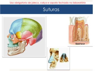 Suturas
Uso obrigatorio de jaleco, calça e sapato fechado no laboratório
 