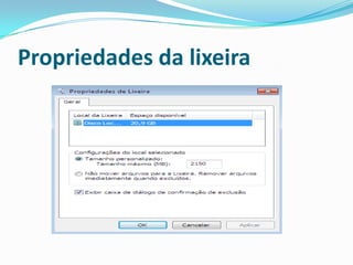 Propriedades da lixeira

 
