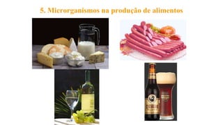 5. Microrganismos na produção de alimentos
 