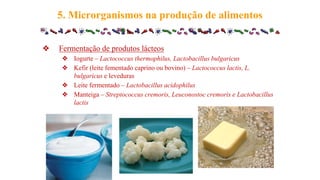 ❖ Fermentação de produtos lácteos
❖ Iogurte – Lactococcus thermophilus, Lactobacillus bulgaricus
❖ Kefir (leite fementado caprino ou bovino) – Lactococcus lactis, L.
bulgaricus e leveduras
❖ Leite fermentado – Lactobacillus acidophilus
❖ Manteiga – Streptococcus cremoris, Leuconostoc cremoris e Lactobacillus
lactis
5. Microrganismos na produção de alimentos
 