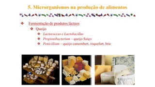 ❖ Fermentação de produtos lácteos
❖ Queijo
❖ Lactococcus e Lactobacillus
❖ Propionibacterium – queijo Suíço
❖ Penicillium – queijo camembert, roquefort, brie
5. Microrganismos na produção de alimentos
 