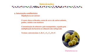 Intoxicações
Staphylococcus
a. Intoxicação estafilocócica
Staphylococcus aureus
Cremes, doces recheados, carne de aves e de outros animais,
pudins, saladas com maionese
Contaminação do alimento: pelo manipulador, seguida pela
multiplicação da bactéria no alimento não refrigerado
Toxinas: enterotoxinas A, B, C1, C2, C3, D e E
 