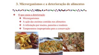 ❖ O que causa a deterioração
❖ Microrganismos
❖ A ação das enzimas contidas nos alimentos
❖ A infestação por insetos, parasitas e roedores
❖ Temperaturas inapropriadas para a conservação
3. Microrganismos e a deterioração de alimentos
 