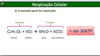 3) A equação geral da respiração
C6H12O6 + 6O2 → 6H2O + 6CO2
Glicose Oxigênio Água Gás Carbônico
Reagentes Produtos
Respiração Celular
+ até 36ATP
 
