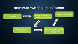 SISTEMAS TAMPÕES BIOLÓGICOS
Organismo metabolismo
Produção constante de
ácidos e bases fortes
Sistemas tampões
biológicos controle
Convertem ácidos e bases
fortes em ácidos e bases
fracos
Mantém a homeostase
 