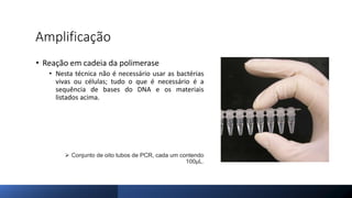Amplificação
• Reação em cadeia da polimerase
• Nesta técnica não é necessário usar as bactérias
vivas ou células; tudo o que é necessário é a
sequência de bases do DNA e os materiais
listados acima.
 Conjunto de oito tubos de PCR, cada um contendo
100μL.
 
