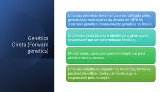 Genética
Direta (Forward
genetics)
Uma das primeiras ferramentas a ser utilizada pelos
geneticistas moleculares na década de 1970 foi
o rastreio genético (mapeamento genético no Brasil).
O objetivo desta técnica é identificar o gene que é
responsável por um determinado fenótipo.
Muitas vezes usa-se um agente mutagênico para
acelerar este processo.
Uma vez isolados os organismos mutantes, torna-se
possível identificar molecularmente o gene
responsável pela mutação.
 