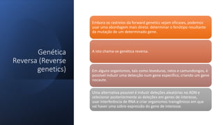 Genética
Reversa (Reverse
genetics)
Embora os rastreios da forward genetics sejam eficazes, podemos
usar uma abordagem mais direta: determinar o fenótipo resultante
da mutação de um determinado gene.
A isto chama-se genética reversa.
Em alguns organismos, tais como leveduras, ratos e camundongos, é
possível induzir uma detecção num gene específico, criando um gene
nocaute.
Uma alternativa possível é induzir deleções aleatórias no ADN e
selecionar posteriormente as deleções em genes de interesse,
usar interferência de RNA e criar organismos transgênicos em que
vai haver uma sobre-expressão do gene de interesse.
 