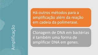 Amplificação Há outros métodos para a
amplificação além da reação
em cadeia da polimerase.
Clonagem de DNA em bactérias
é também uma forma de
amplificar DNA em genes.
 
