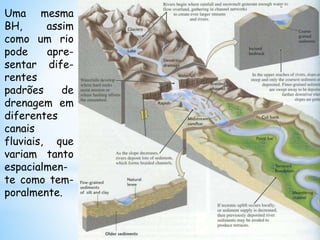 Uma mesma
BH, assim
como um rio
pode apre-
sentar dife-
rentes
padrões de
drenagem em
diferentes
canais
fluviais, que
variam tanto
espacialmen-
te como tem-
poralmente.
 