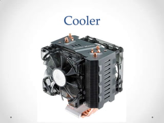 Cooler
 