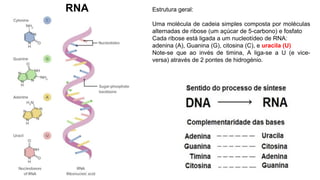 Estrutura geral:
Uma molécula de cadeia simples composta por moléculas
alternadas de ribose (um açúcar de 5-carbono) e fosfato
Cada ribose está ligada a um nucleotídeo de RNA:
adenina (A), Guanina (G), citosina (C), e uracila (U)
Note-se que ao invés de timina, A liga-se a U (e vice-
versa) através de 2 pontes de hidrogénio.
RNA
 