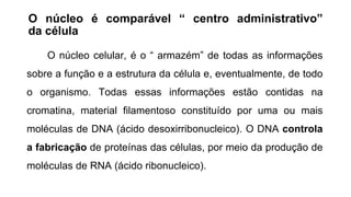 O núcleo é comparável “ centro administrativo”
da célula
O núcleo celular, é o “ armazém” de todas as informações
sobre a função e a estrutura da célula e, eventualmente, de todo
o organismo. Todas essas informações estão contidas na
cromatina, material filamentoso constituído por uma ou mais
moléculas de DNA (ácido desoxirribonucleico). O DNA controla
a fabricação de proteínas das células, por meio da produção de
moléculas de RNA (ácido ribonucleico).
 