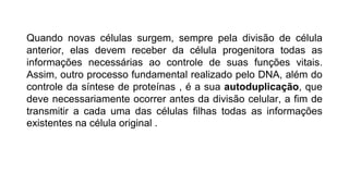 Quando novas células surgem, sempre pela divisão de célula
anterior, elas devem receber da célula progenitora todas as
informações necessárias ao controle de suas funções vitais.
Assim, outro processo fundamental realizado pelo DNA, além do
controle da síntese de proteínas , é a sua autoduplicação, que
deve necessariamente ocorrer antes da divisão celular, a fim de
transmitir a cada uma das células filhas todas as informações
existentes na célula original .
 